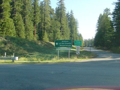 Avenue of the Giants, northern entrance