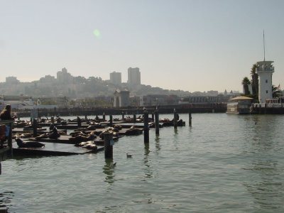 Fishermans Wharf, San Francisco