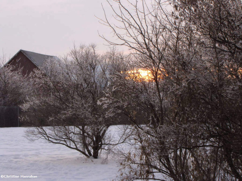 Red barn against the setting sun