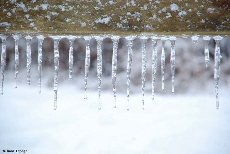 Icicles on Interpretive Centre