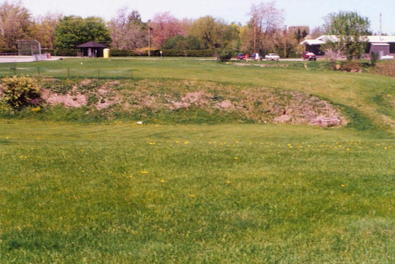 Looking north to the Amphibian Pond, spring 1991