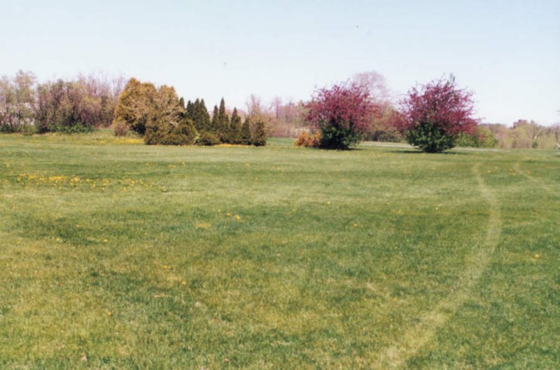 Looking west to the Butterfly Meadow, spring 1991