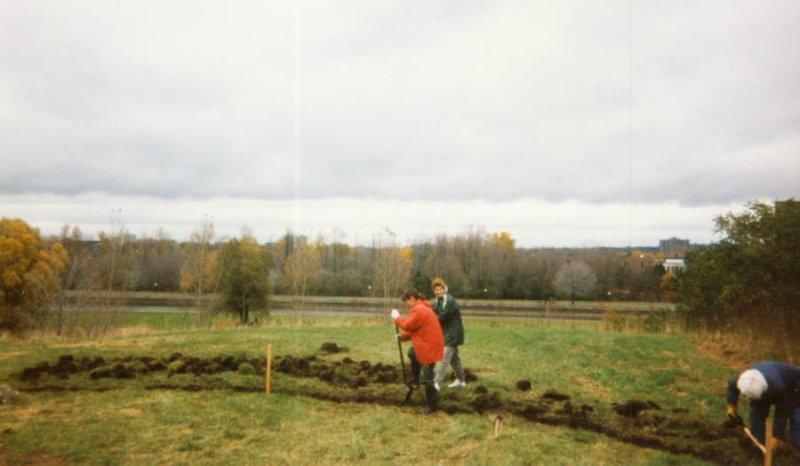 Creating the Backyar Garden, October 1992