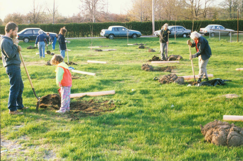 Planting the New Woods,  spring 1992