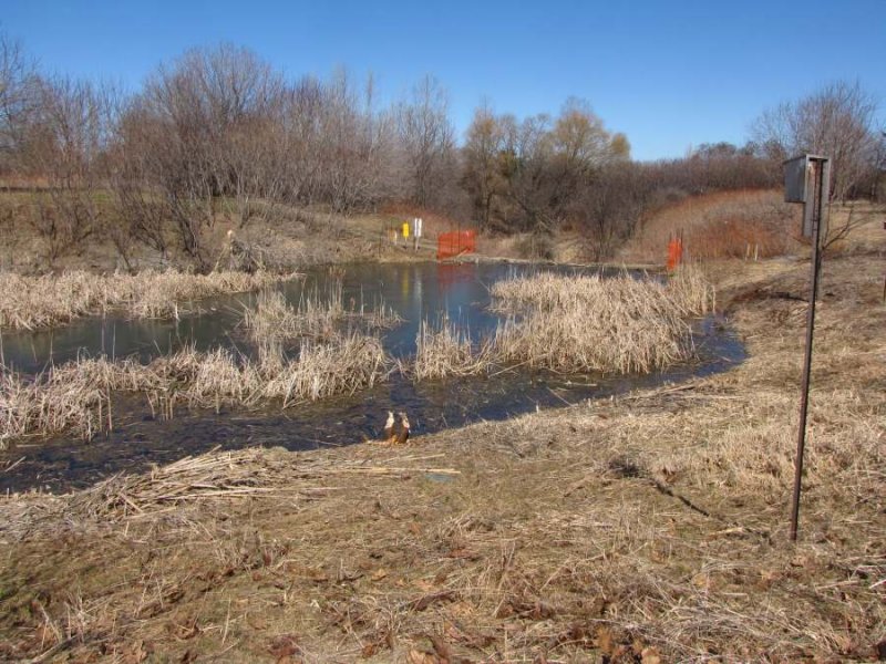 The pond with fence around bridge