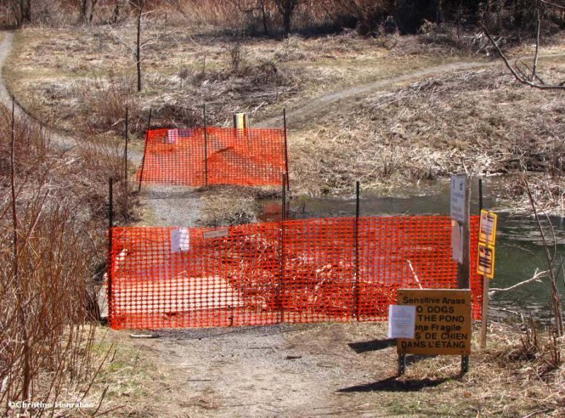 Fenced pond