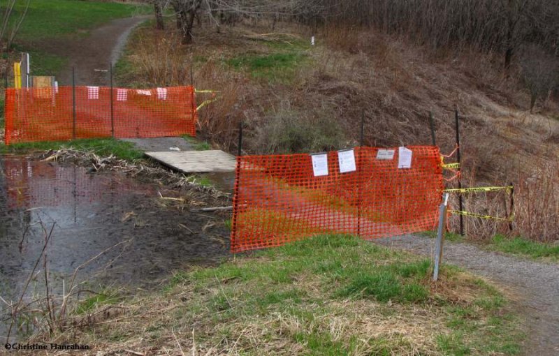 Another attempt to prevent people from crossing the unstable bridge