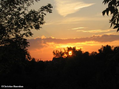 An autumn sunset over FWG