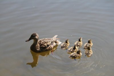 g3/07/866907/3/124685968.8Sgdvz8R.jpg