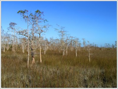 Everglades National Park