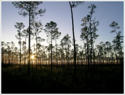 Everglades National Park