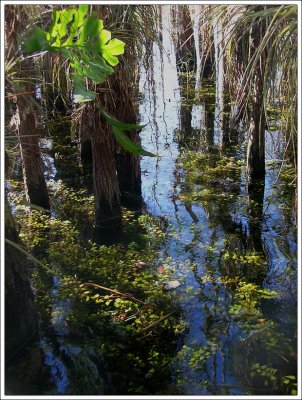 Everglades National Park