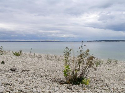 Mackinac Island