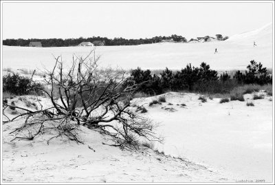 outerbanks_045.jpg