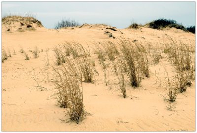outerbanks_060.jpg