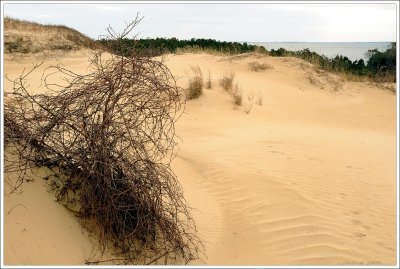 outerbanks_080.jpg