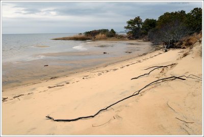 outerbanks_150.jpg