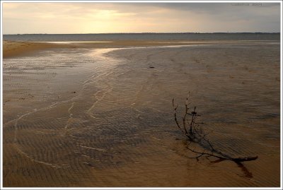 outerbanks_160.jpg