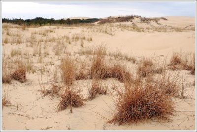 outerbanks_180.jpg