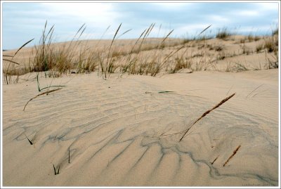 outerbanks_190.jpg