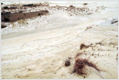 outerbanks_200.jpg