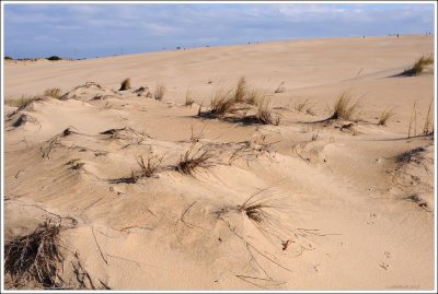 outerbanks_206.jpg