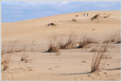 outerbanks_207.jpg