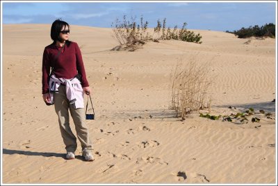 outerbanks_208.jpg