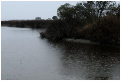 outerbanks_280.jpg