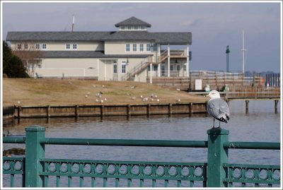 newbern_050.jpg