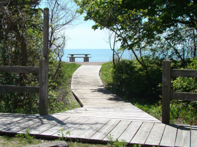 Path to the picnic area