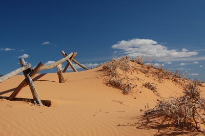 Lonely Fence in Pink Coral Sand Dunes, Utah