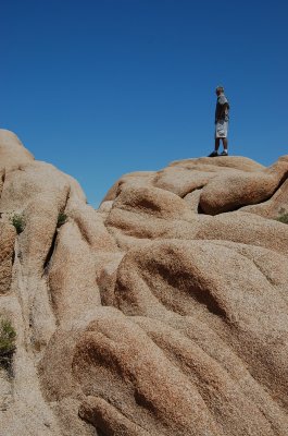 Chuck on Rock.JPG