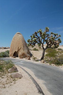 Hollowed out Rock.JPG