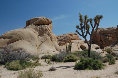 Hidden Valley, Joshua Tree National Park