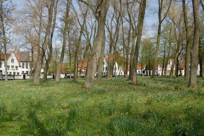 Antwerp 2008