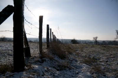 My favourite fence