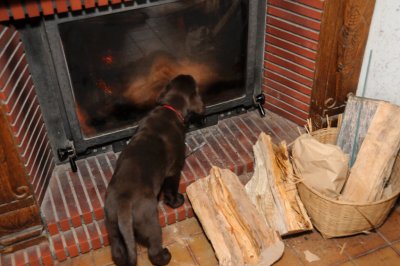 Ez discovers fire