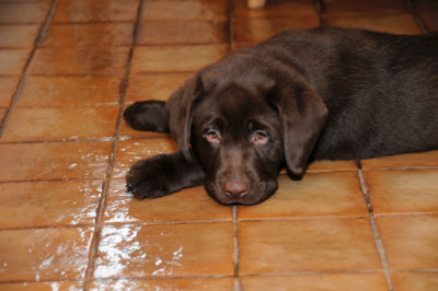 g3/08/117908/3/121362511.m1SVSeQc.jpg