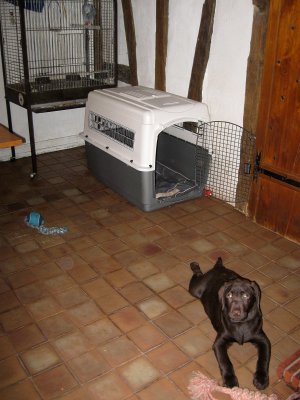 New kennel