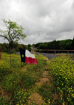 Wild Flowers in The Hill Country And A Few Other Things