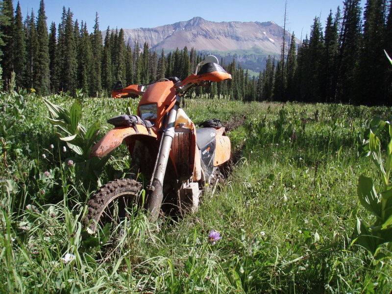 P7301864.JPG