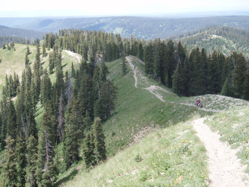 P7301919.JPG