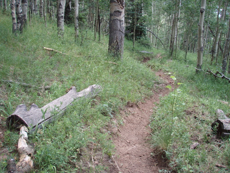 P7301920.JPG