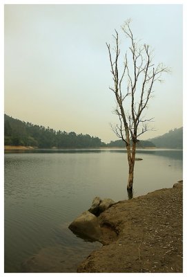 g3/08/291208/3/120590800.EEOOL7qQ.jpg