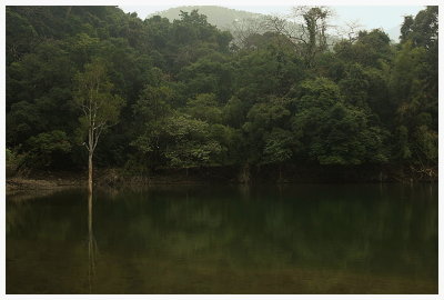 Shing Mun