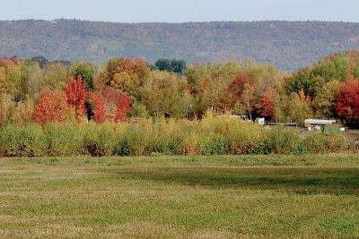 Valley scene
