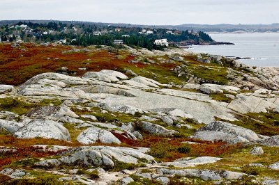 Chebucto Head