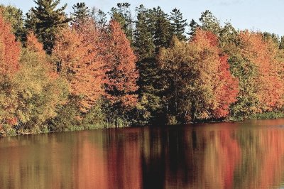 Saxon St.Pond