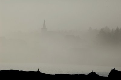 Seal Island fog